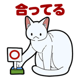 856116976