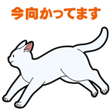 856116978