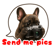 856117970