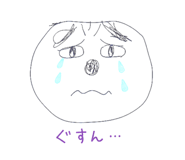 856120681