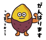 856121576