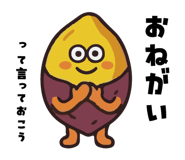856121578