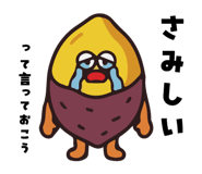 856121580