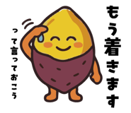 856121587