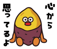 856121591