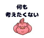 856124216