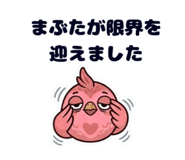 856124244