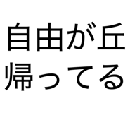 856124565