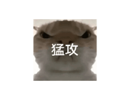 856125031