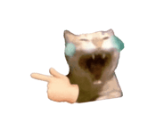 856125032