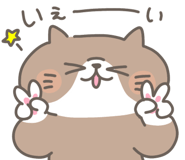 856125403