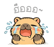 856126047