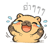 856126056