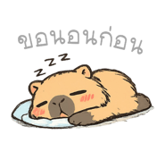 856126060