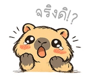 856126067