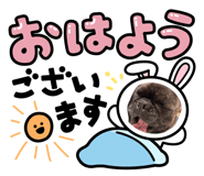 856126307