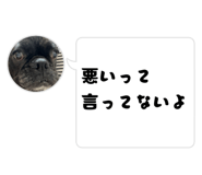 856126320