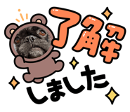 856126327