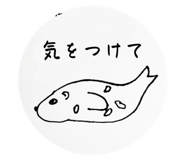 856126864