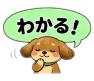 856126915
