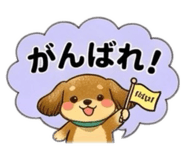 856126916