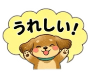 856126919