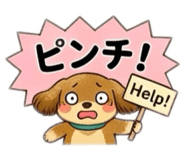 856126930