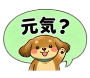 856126933