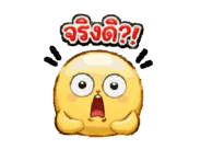 856127443
