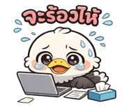 856127688
