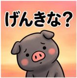 856129554