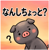 856129556