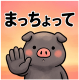 856129557