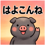 856129558