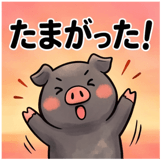 856129562