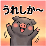 856129563