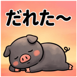 856129564
