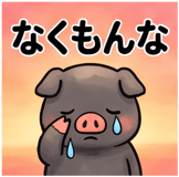 856129567