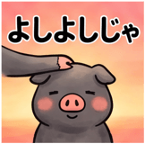 856129568