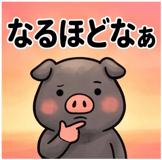 856129570