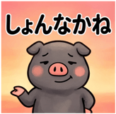 856129571
