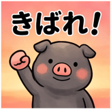 856129572