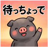 856129575