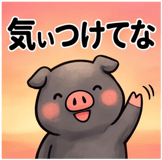 856129576