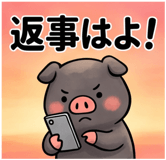 856129577