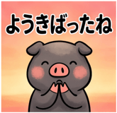 856129580