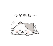 856130506