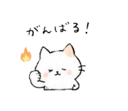 856130528