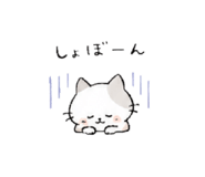 856130533
