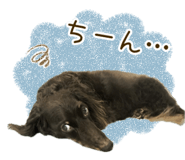 856130540